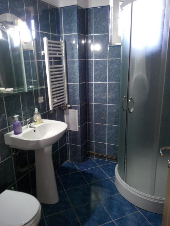 Pensiunea Vladut Timisoara Ngoại thất bức ảnh