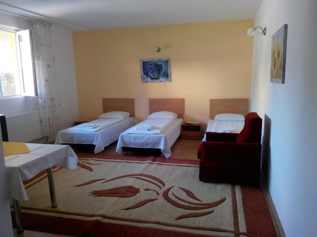 Pensiunea Vladut Timisoara Ngoại thất bức ảnh