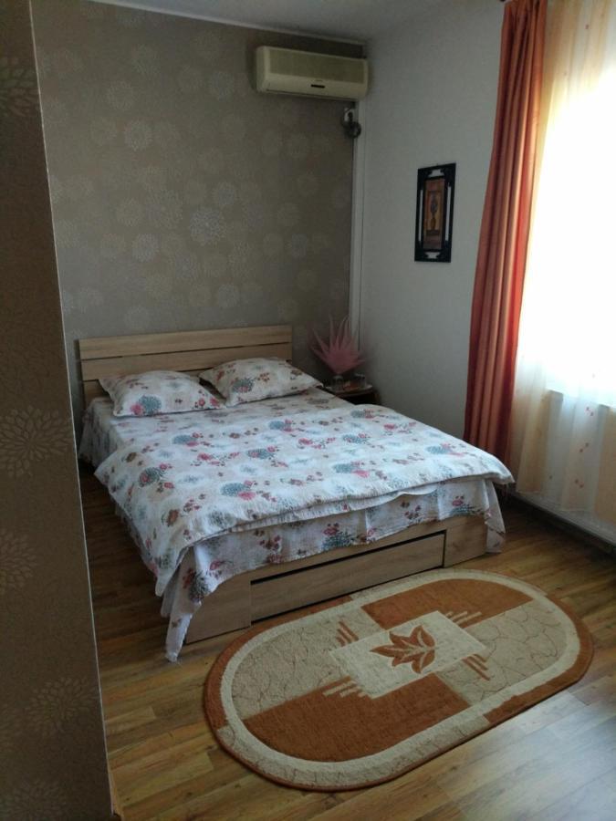 Pensiunea Vladut Timisoara Ngoại thất bức ảnh