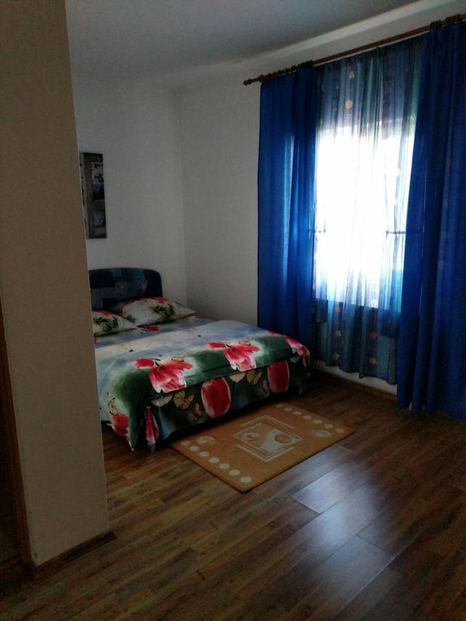 Pensiunea Vladut Timisoara Ngoại thất bức ảnh